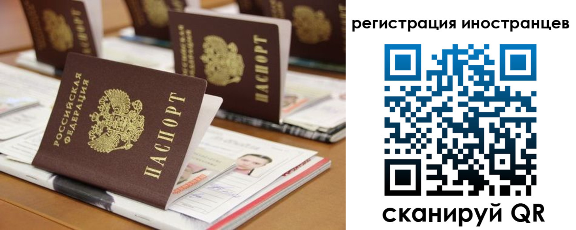 прописка для работы в Щёкино